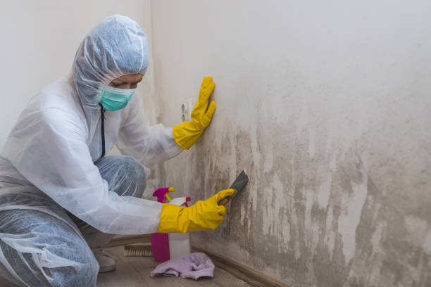 Best Crawl Space Mold Removal  in Lincoln City, OR