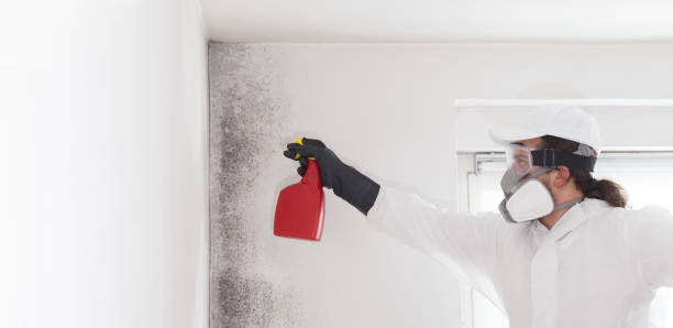 Best Mold Cleaning Services  in Lincoln City, OR